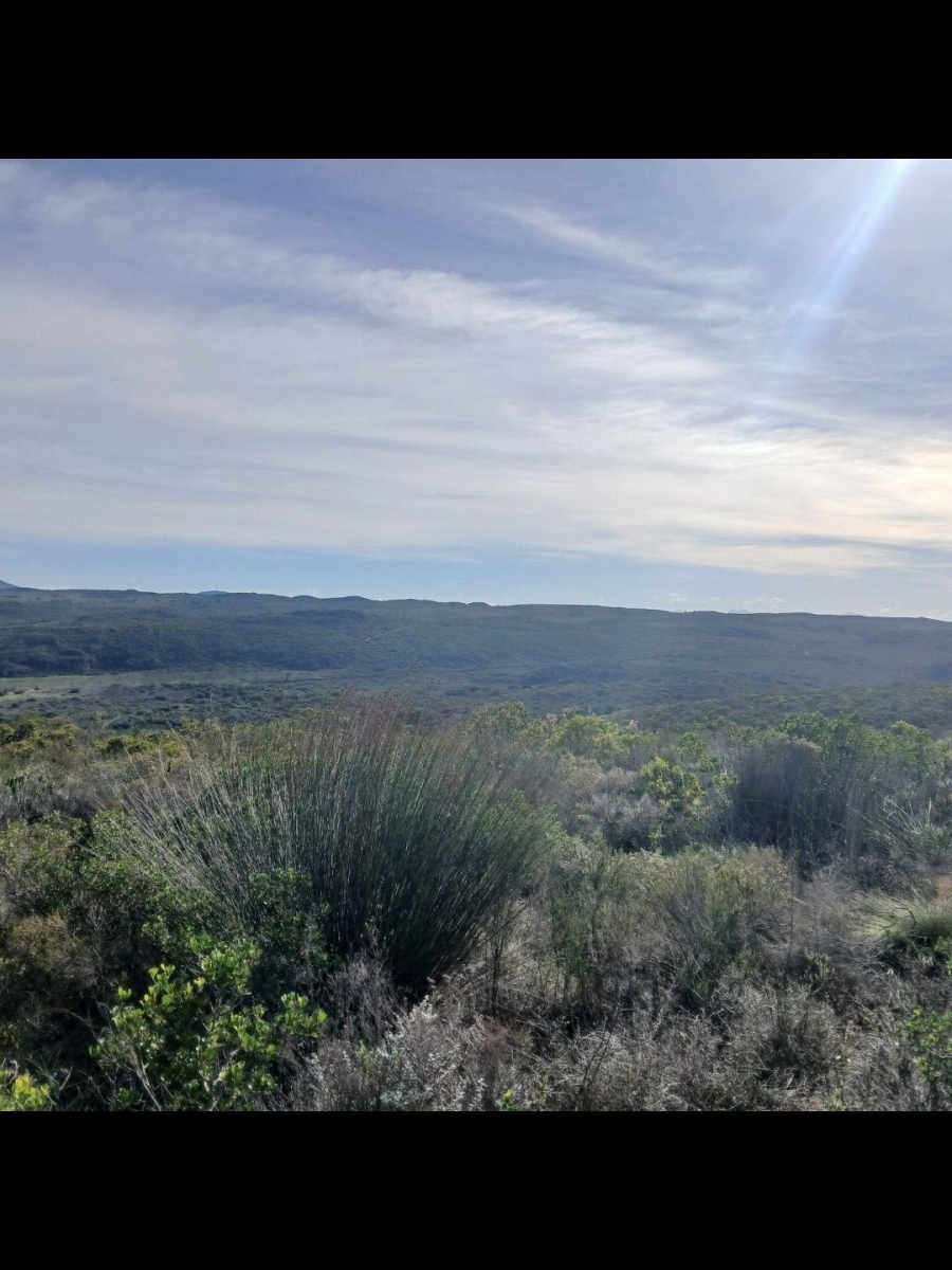 2 Bedroom Property for Sale in Albertinia Western Cape